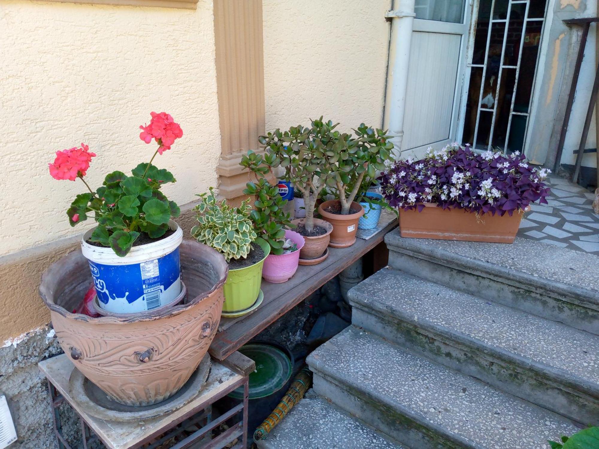 Once Upon In Old Tbilisi Apartment Ngoại thất bức ảnh